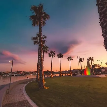 Olbia Apartment アパート *